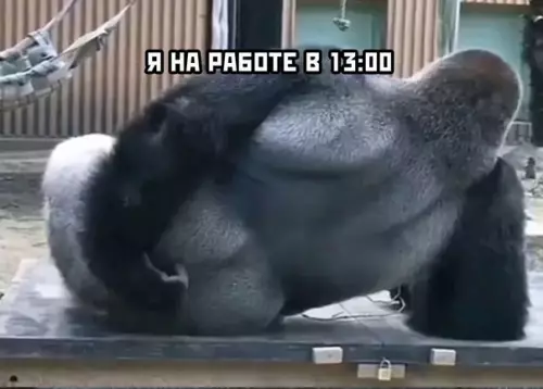 продолжение Смешная картинка №566830 Kлaccикa
