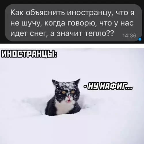 Смешная картинка №668477