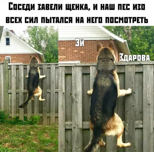 Смешная картинка №381545