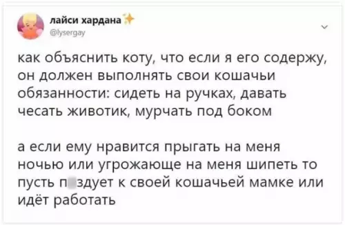 Смешная картинка №337488 Пора напомнить своему коту о его обязанностях коты