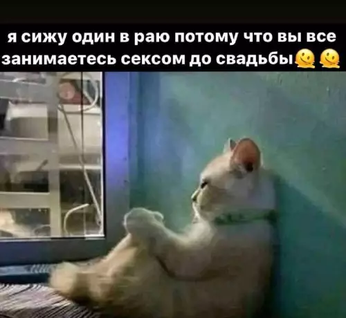 Смешная картинка №716299