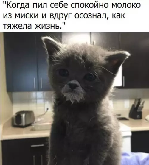 Смешная картинка №192979