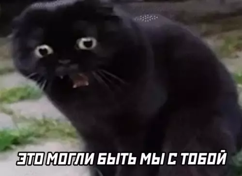 продолжение Смешная картинка №586087