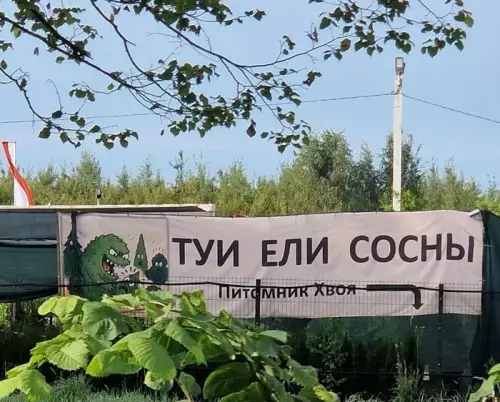 Смешная картинка №781809