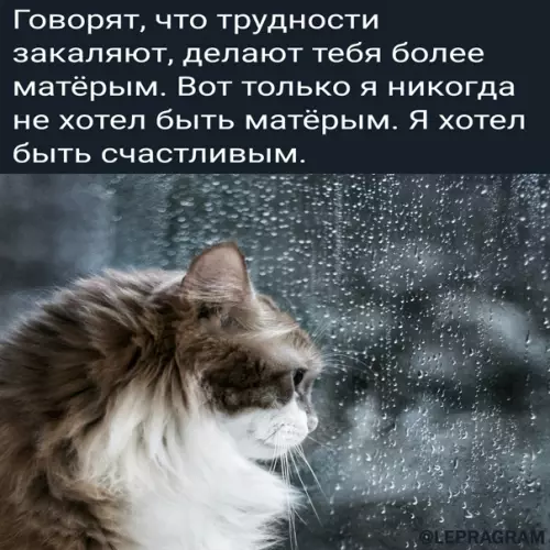Смешная картинка №543926 По факту