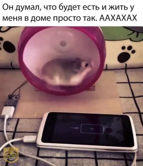 Смешная картинка №320083