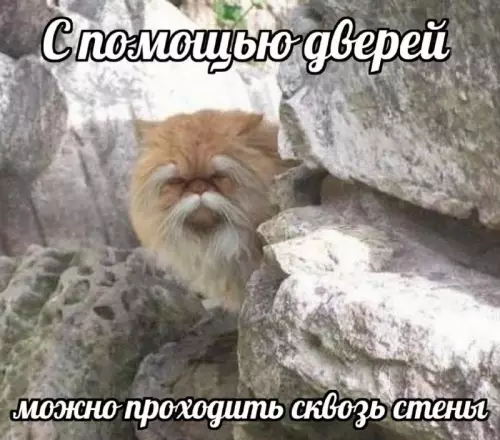 Взлом реальности через двери 🚪🤡 - С помощью дверей можно проходить сквозь стены