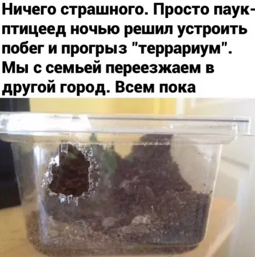 Смешная картинка №491798