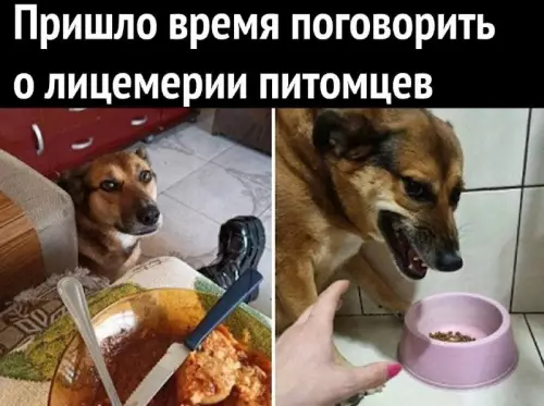 Смешная картинка №676678
