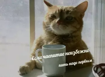 Когда утро началось не с кофе, а с экзистенциального кризиса ☕️ - Если чаепитие неизбежно пить надо первым