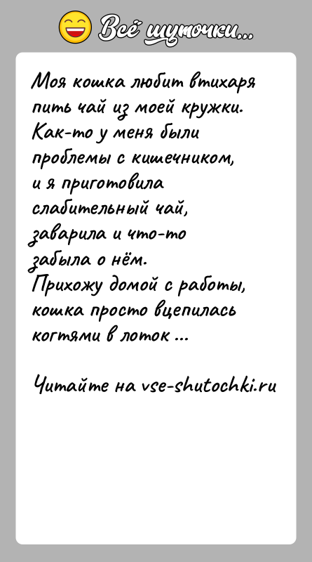 История: Моя кошка любит втихаря пить чай из моей кружки. Как-то у меня были проблемы с кишечником, и я приготовила слабительный