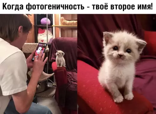 Смешная картинка №392415