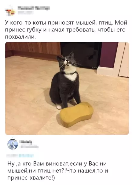Смешная картинка №346990