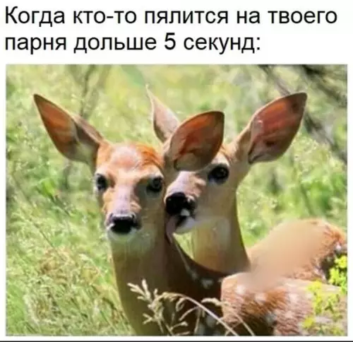 Смешная картинка №218024