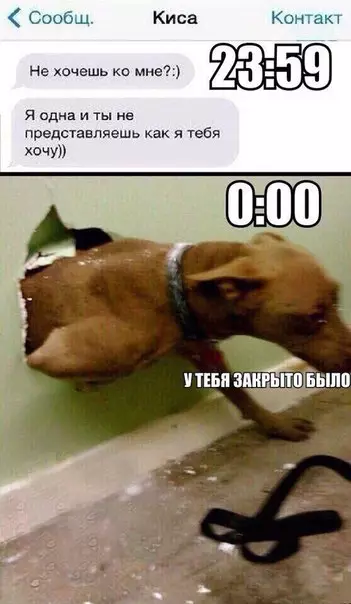 Смешная картинка №215472