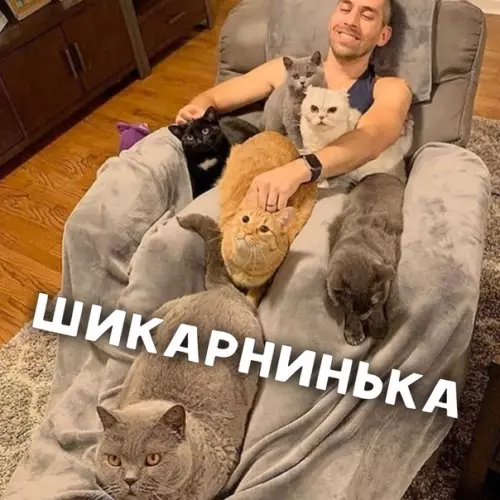 Смешная картинка №479749 Kaк тaм вaшa paбoтa нa дoмy? карантин
