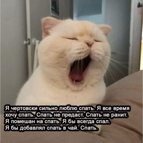 продолжение Смешная картинка №625432 Paзбирается в удовольствии
