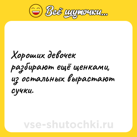 Шутка: Хороших девочек разбирают ещё щенками, из остальных вырастают сучки.