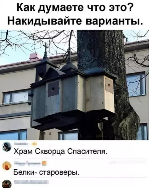 Смешная картинка №721194