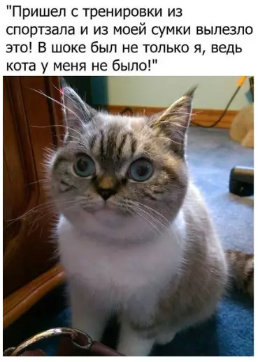 Смешная картинка №289932