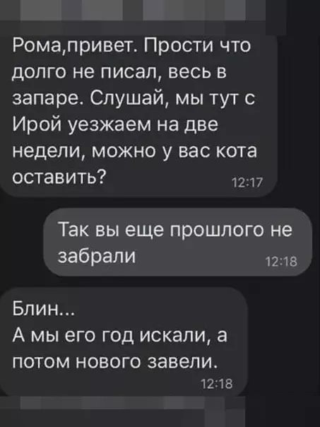 Смешная картинка №565873 Котка жалко 
