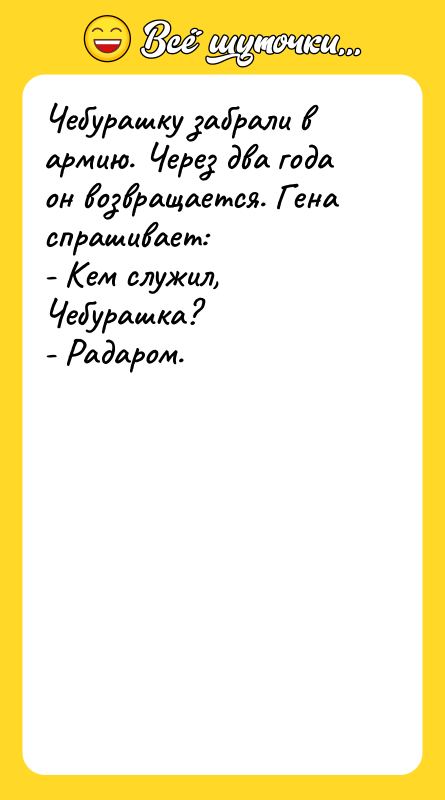 Чебурашку забрали в армию. Через два года он возвращается. Гена