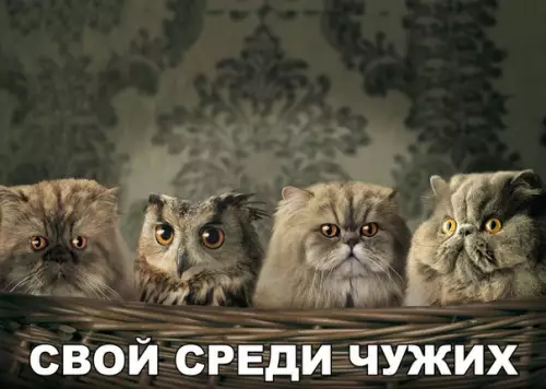 Смешная картинка №220157