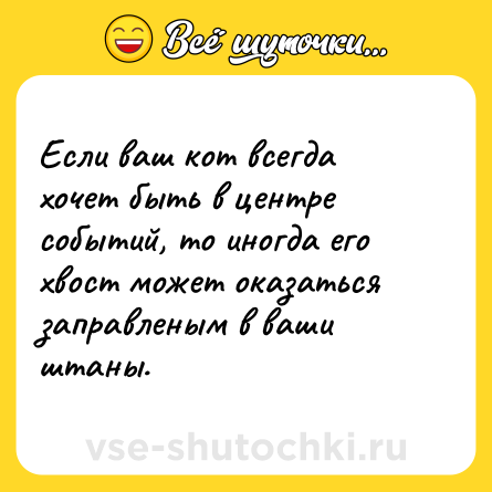 Шутка: Если ваш кот всегда хочет быть в центре событий, то иногда его хвост может оказаться заправленым в ваши штаны.