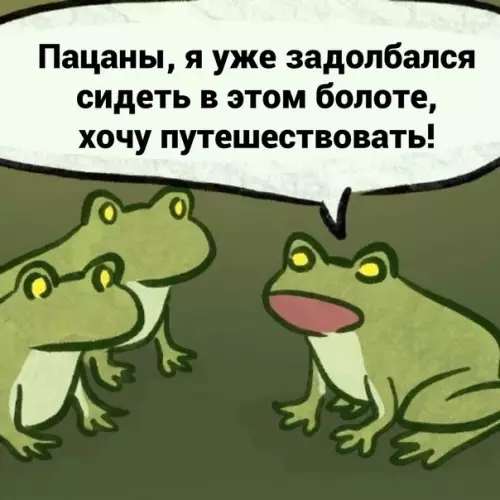 Смешная картинка №589680 Жаба-лайфхакер