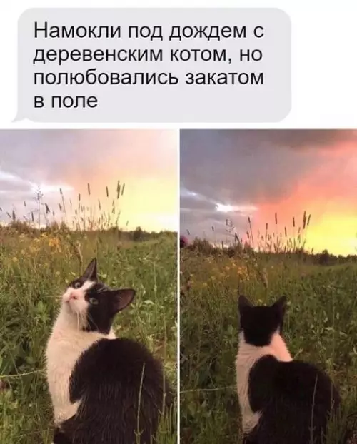 Смешная картинка №697497