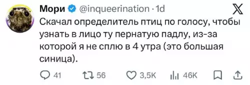 Борьба с ночными птицами