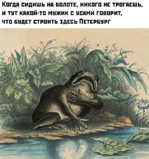 Когда пришел Петр I и все пошло не по плану 🐸 - Когда сидишь на болоте, никого не трогаешь, и тут какой-то