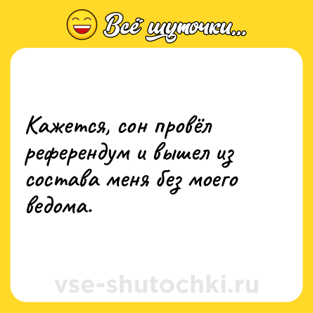 Шутка: Кажется, сон провёл референдум и вышел из состава меня без моего ведома.