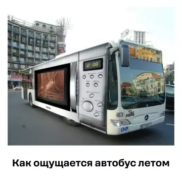 Смешная картинка №815372 лето