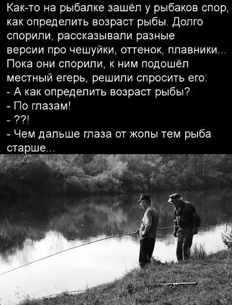 Смешная картинка №525616 Аргументный аргумент.