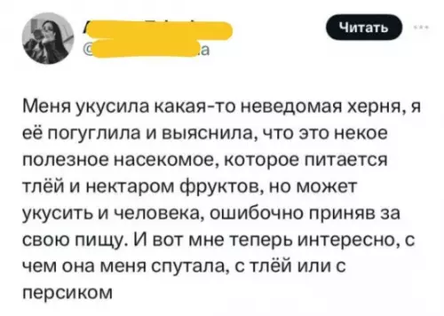 Когда ты слишком сладкая для этого мира 🍑✨ - Меня укусила какая-то неведомая херня, я её погуглила и выяснила,