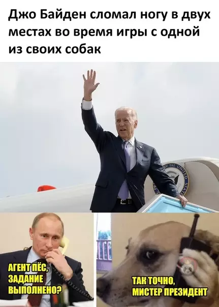 Смешная картинка №567105 Все не спроста!