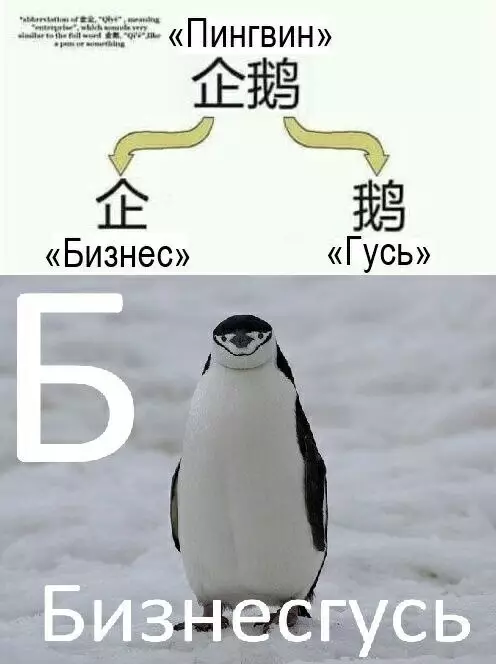 Смешная картинка №684513