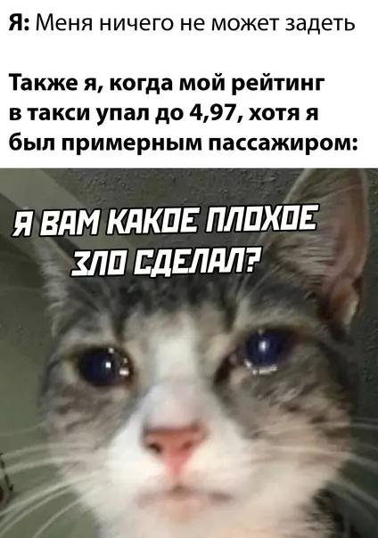 Смешная картинка №625040