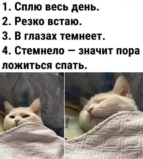 Смешная картинка №670373