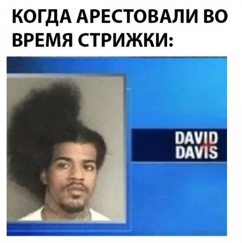 Смешная картинка №300562