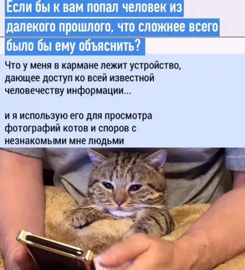 Смешная картинка №487513