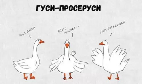 Смешная картинка №249866 Мои тотемные животные: