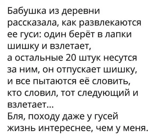 Смешная картинка №239326