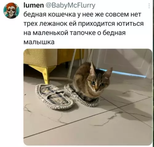 Драматическая жизнь котейки 😿 - бедная кошечка у нее совсем нет трех лежанок ей приходится