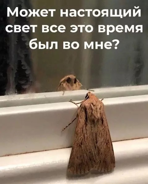 Смешная картинка №660853