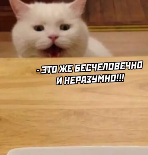 продолжение Смешная картинка №625114