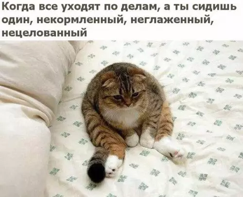 Смешная картинка №245142