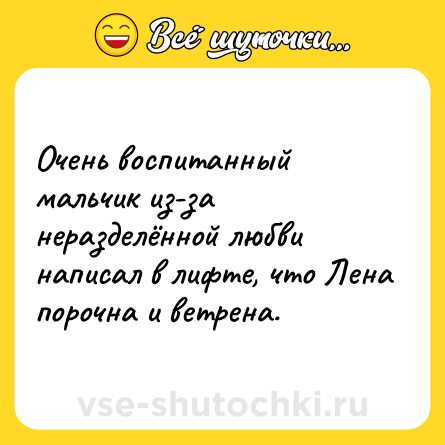 Шутка: Очень воспитанный мальчик из-за неразделённой любви написал в лифте, что Лена порочна и ветрена.