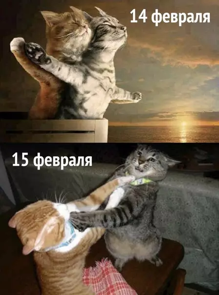 Смешная картинка №332576 — Дорогой, правда я дана тебе Богом? 
— Правда. Тoлькo зa кaкиe грехи не знаю...?